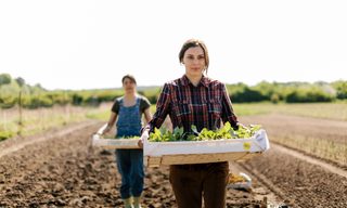 Farm Grants: How to Get Free Money in 2026