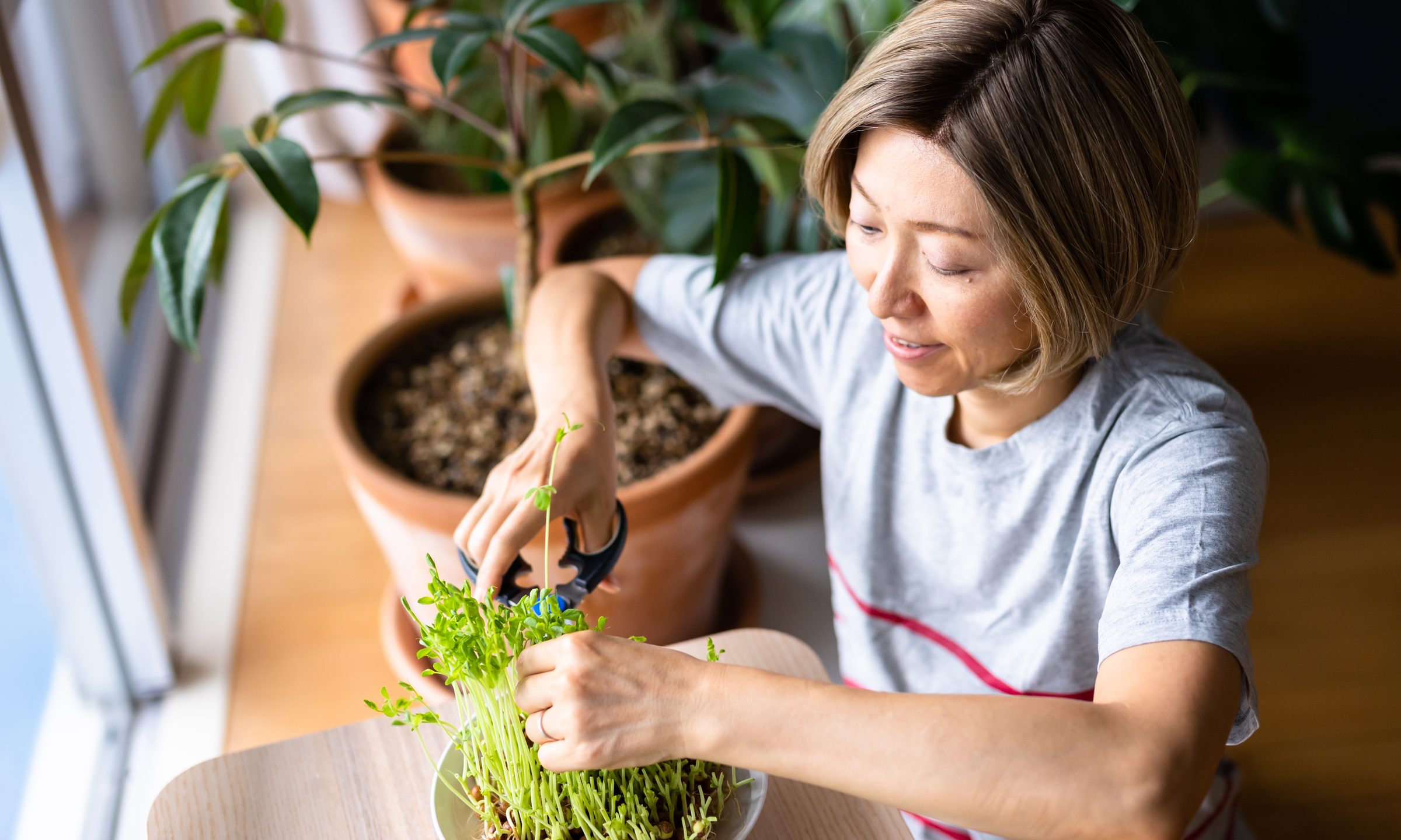 Social Security’s Windfall Elimination Provision (WEP), Explained