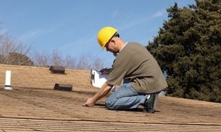 Does Home Insurance Cover Termite Damage?