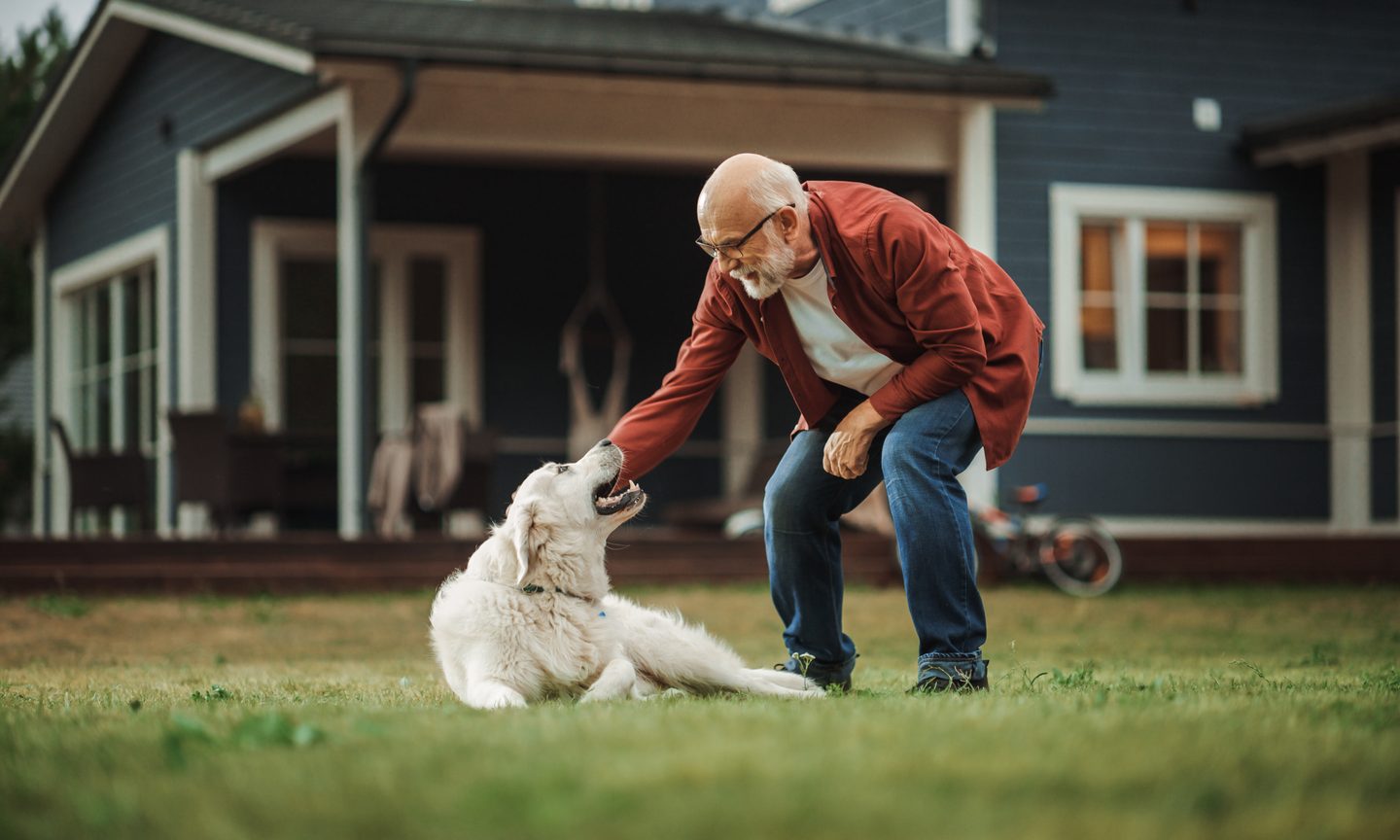 Dog Insurance Texas: Protect Your Pup Today!