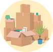Plant, Potted Plant, Box