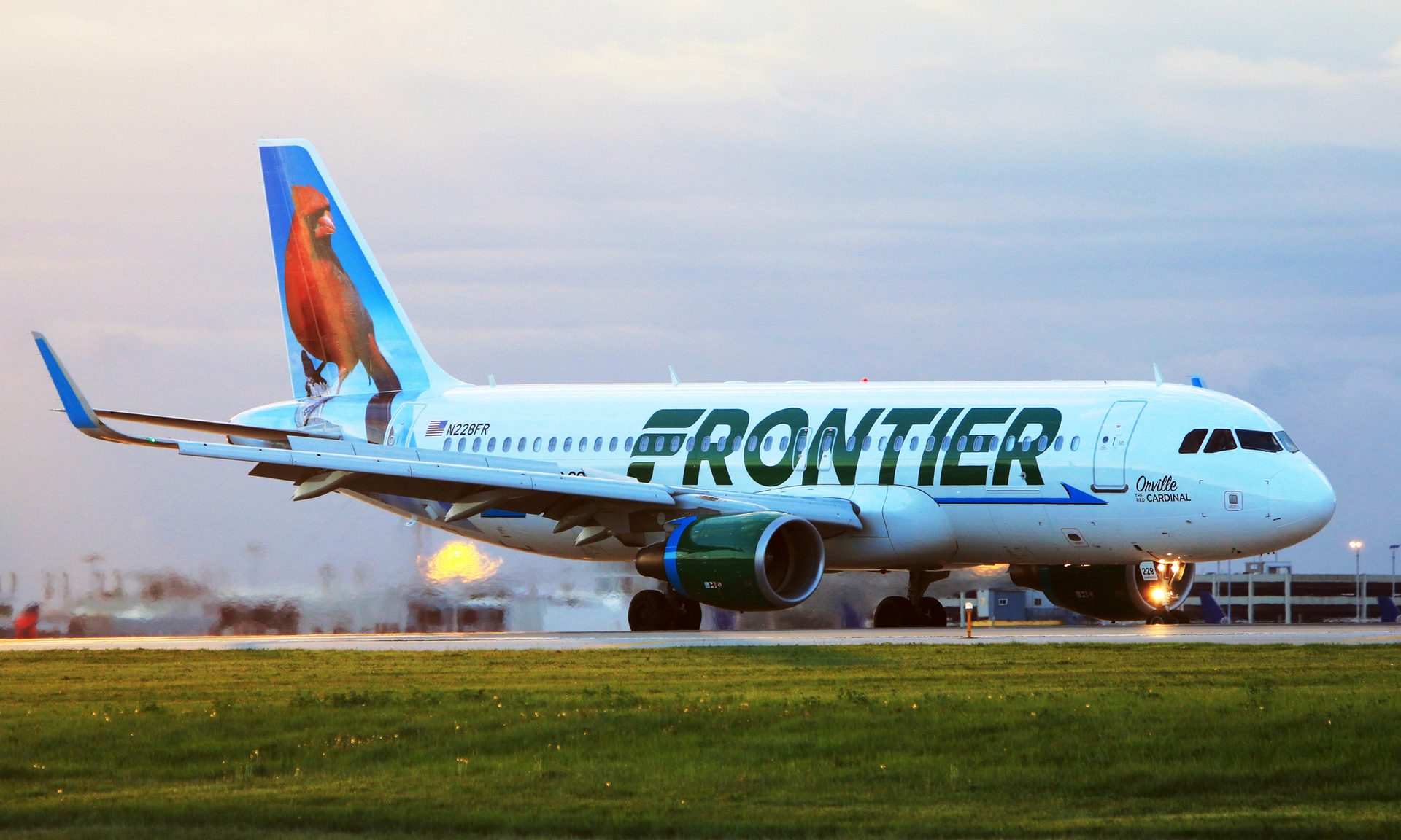 Aircraft, Airliner, Airplane