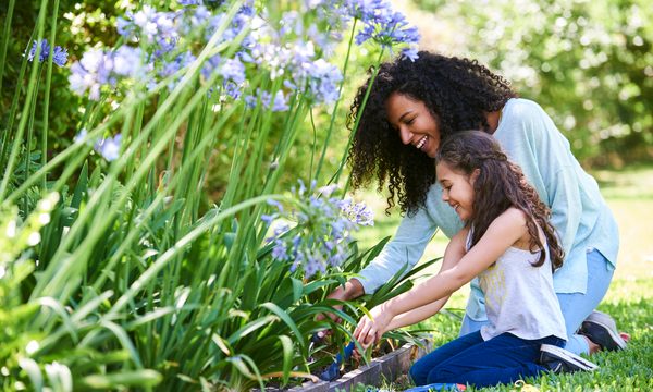 Garden, Nature, Outdoors