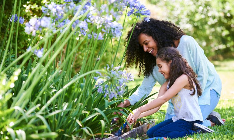 Garden, Nature, Outdoors
