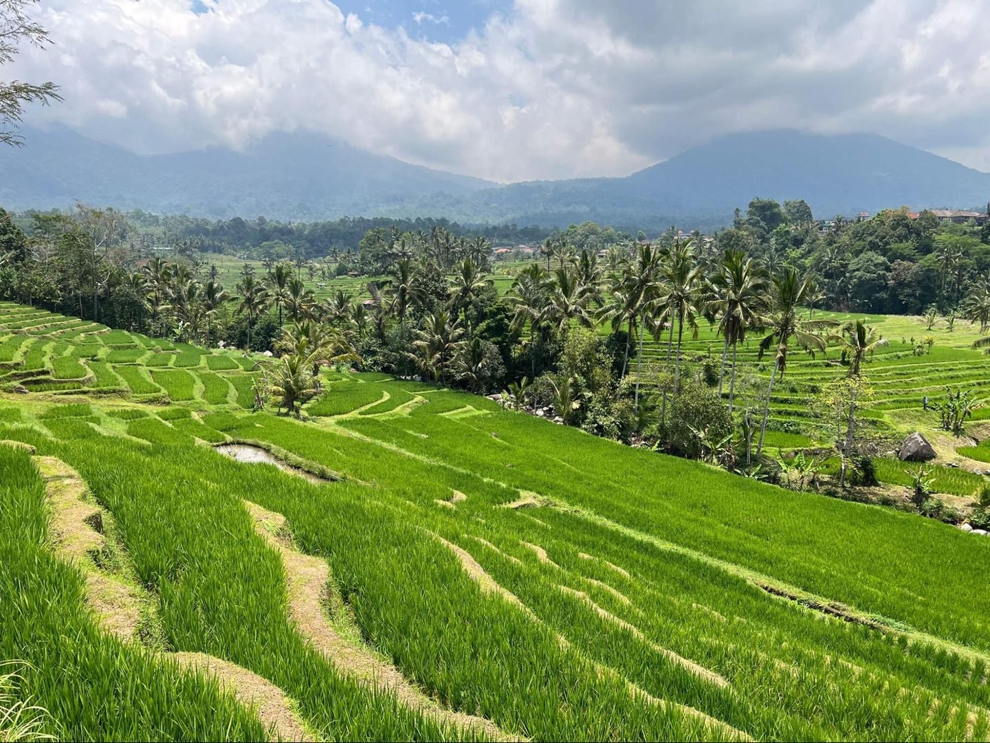 Outdoors, Nature, Countryside