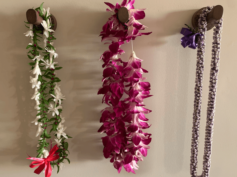 Flower, Flower Arrangement, Plant