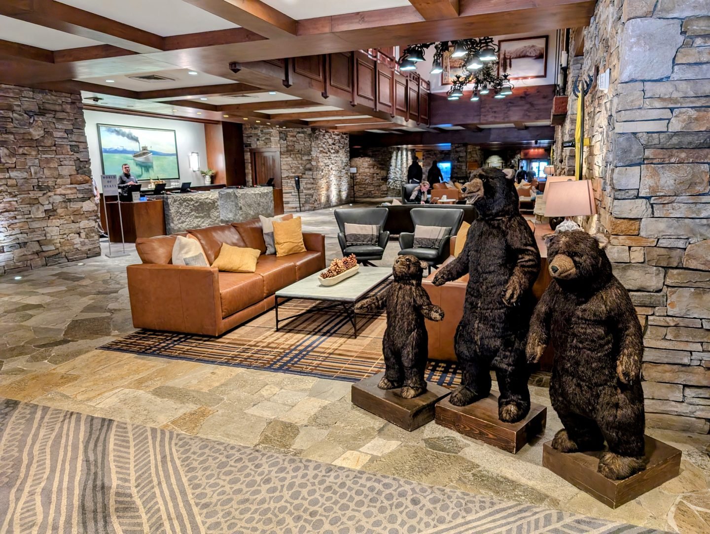 Indoors, Animal, Bear