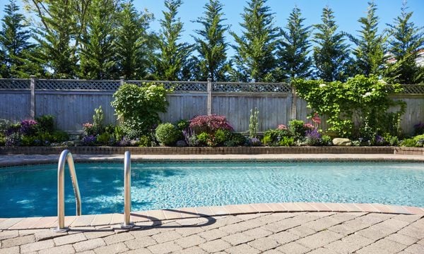 Summer, Backyard, Nature