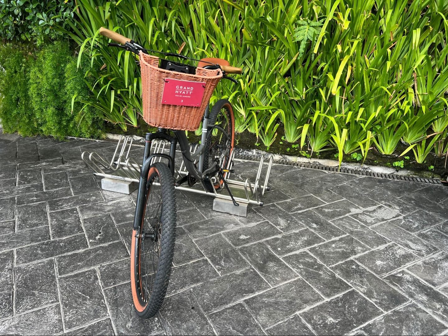 Path, Walkway, Floor