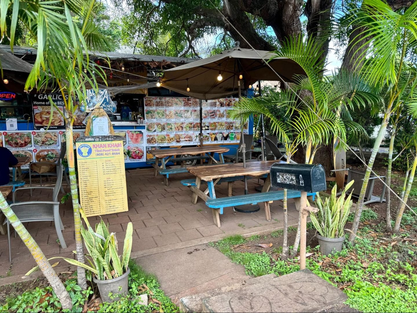 Summer, Person, Nature