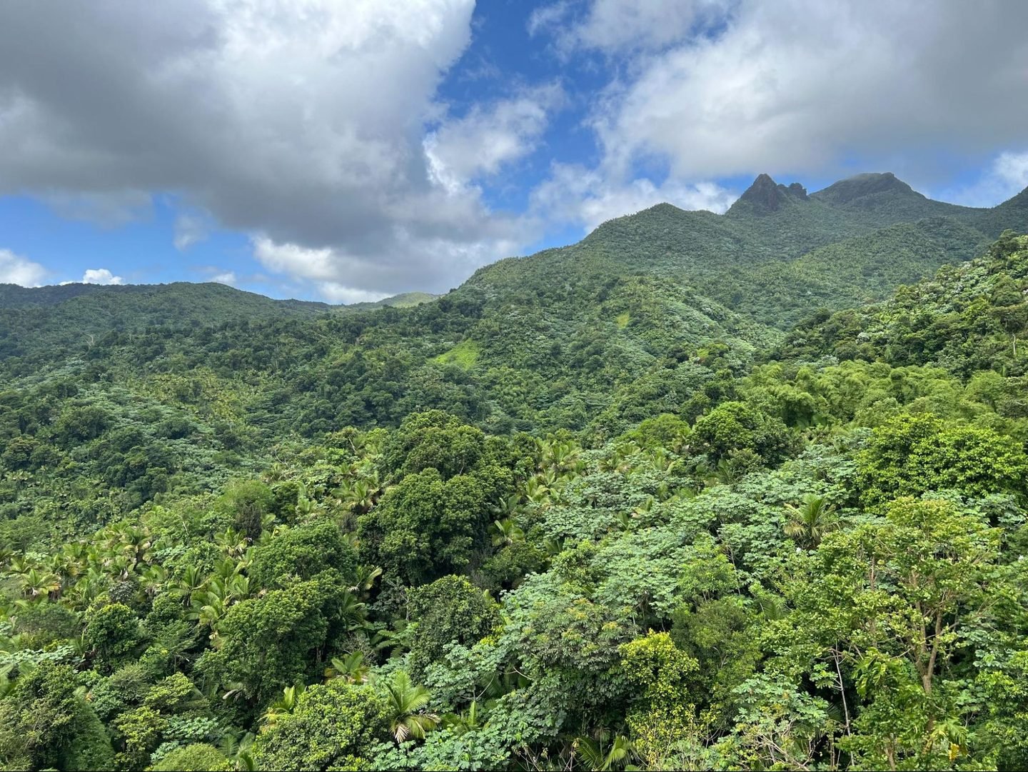 Land, Nature, Outdoors
