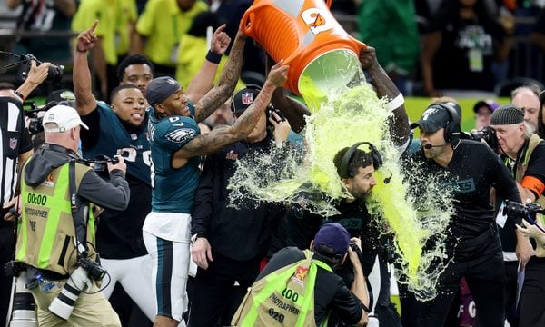 Celebrating, Person, Adult