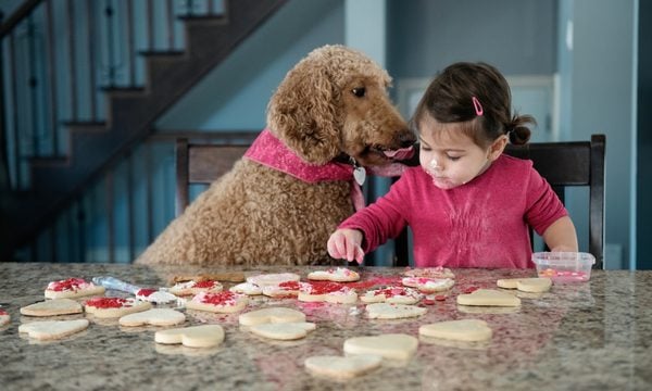 Cream, Dessert, Food