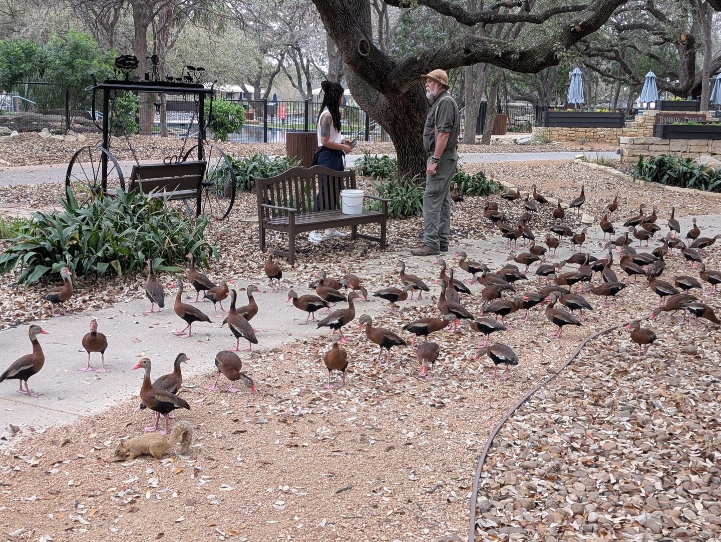 Grass, Nature, Outdoors