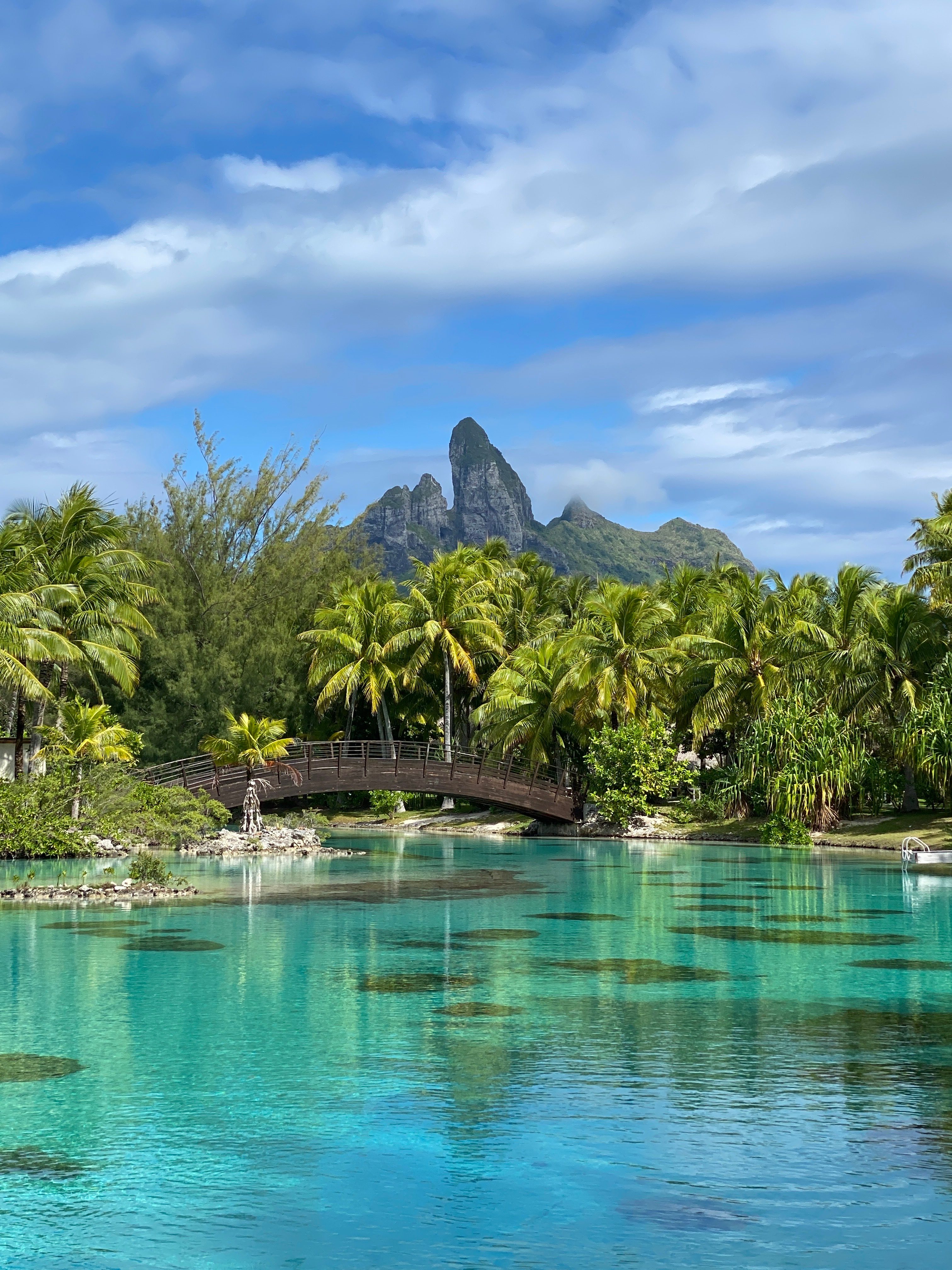 Summer, Land, Nature