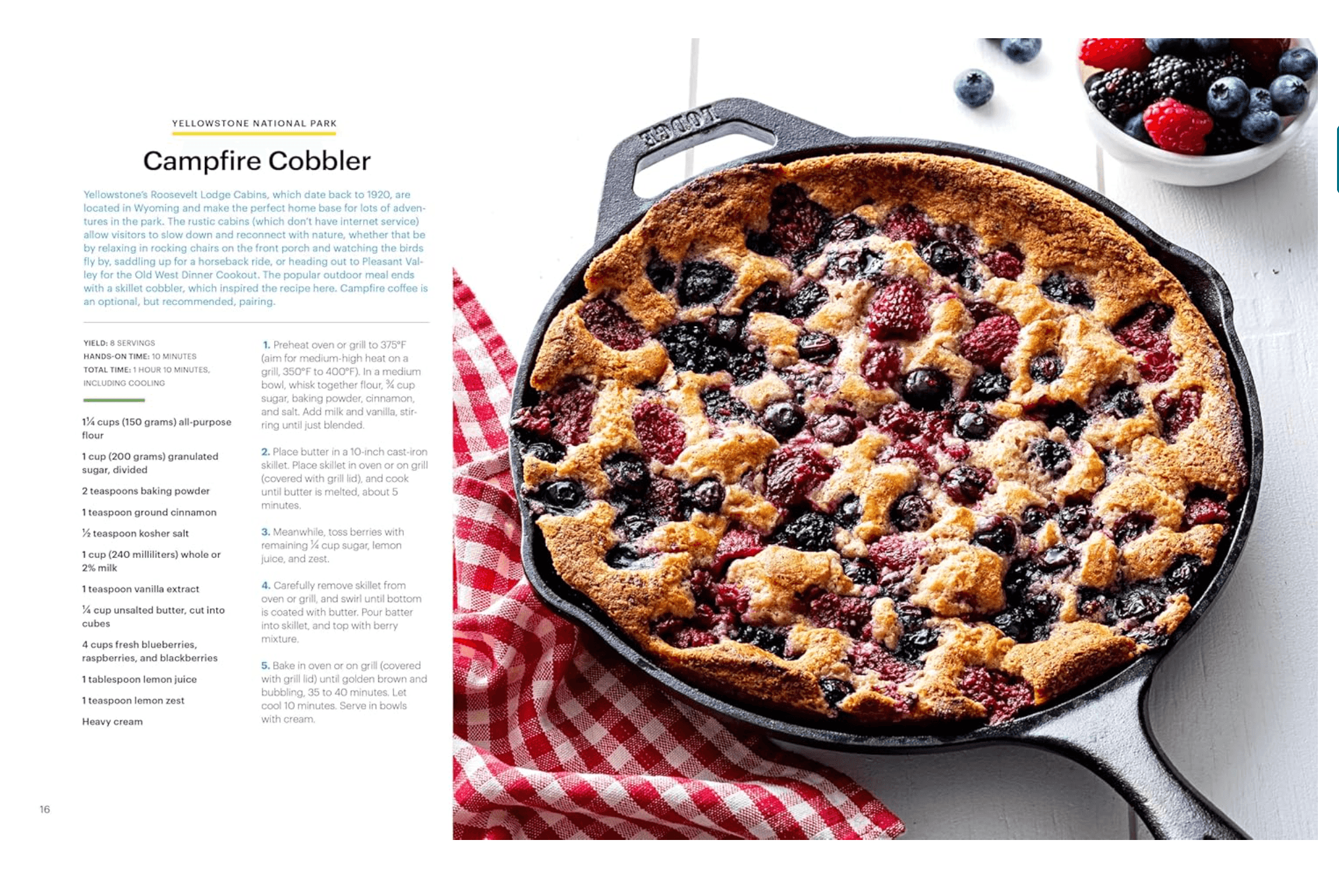 Berry, Blueberry, Food