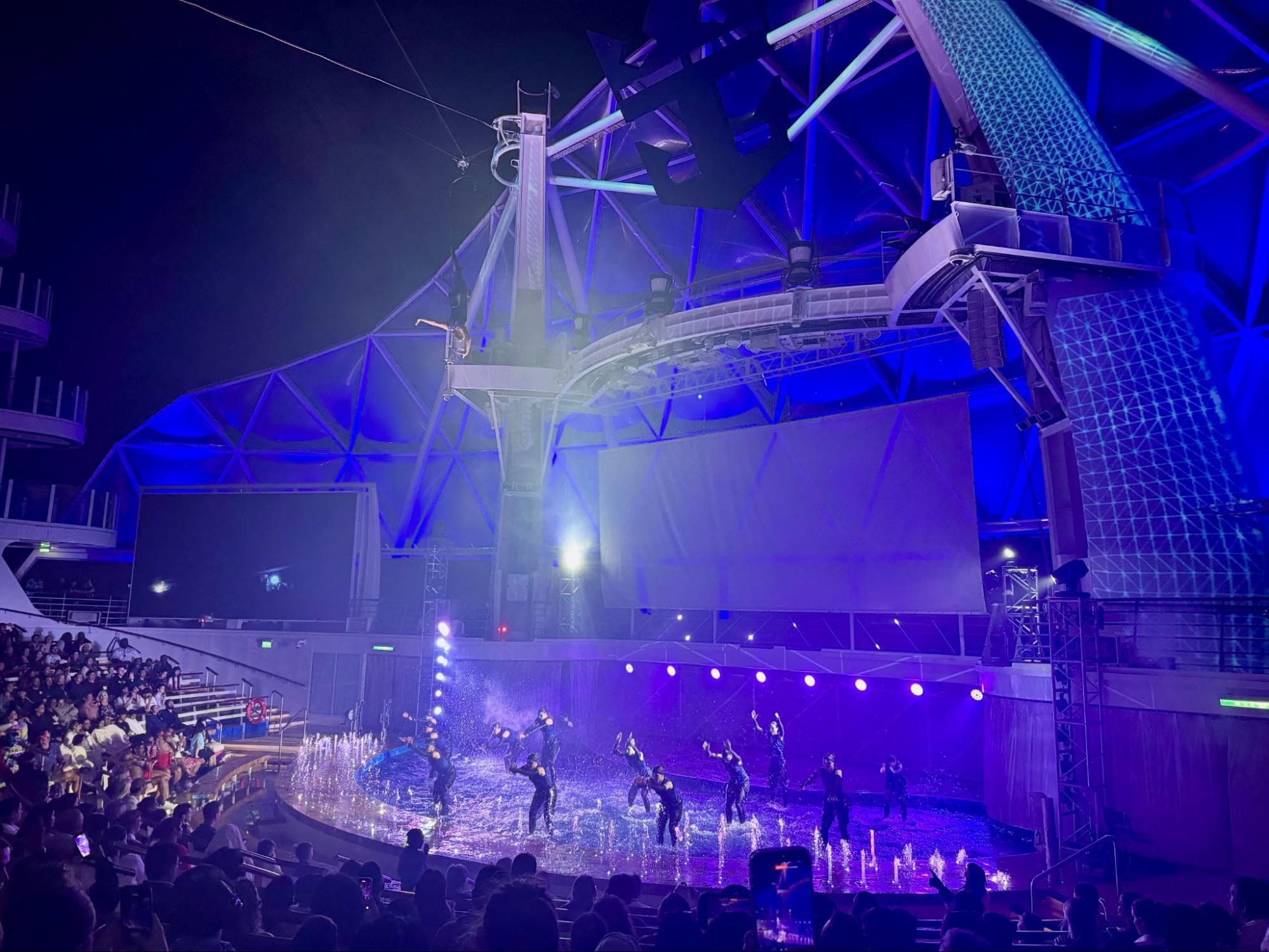 Concert, Crowd, Person