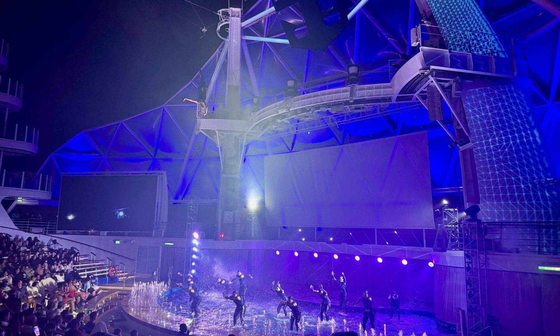 Concert, Crowd, Person