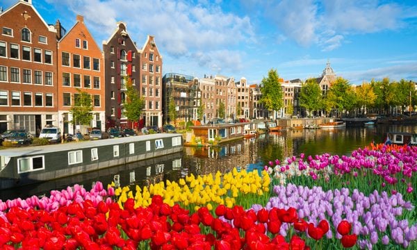 Neighborhood, City, Nature