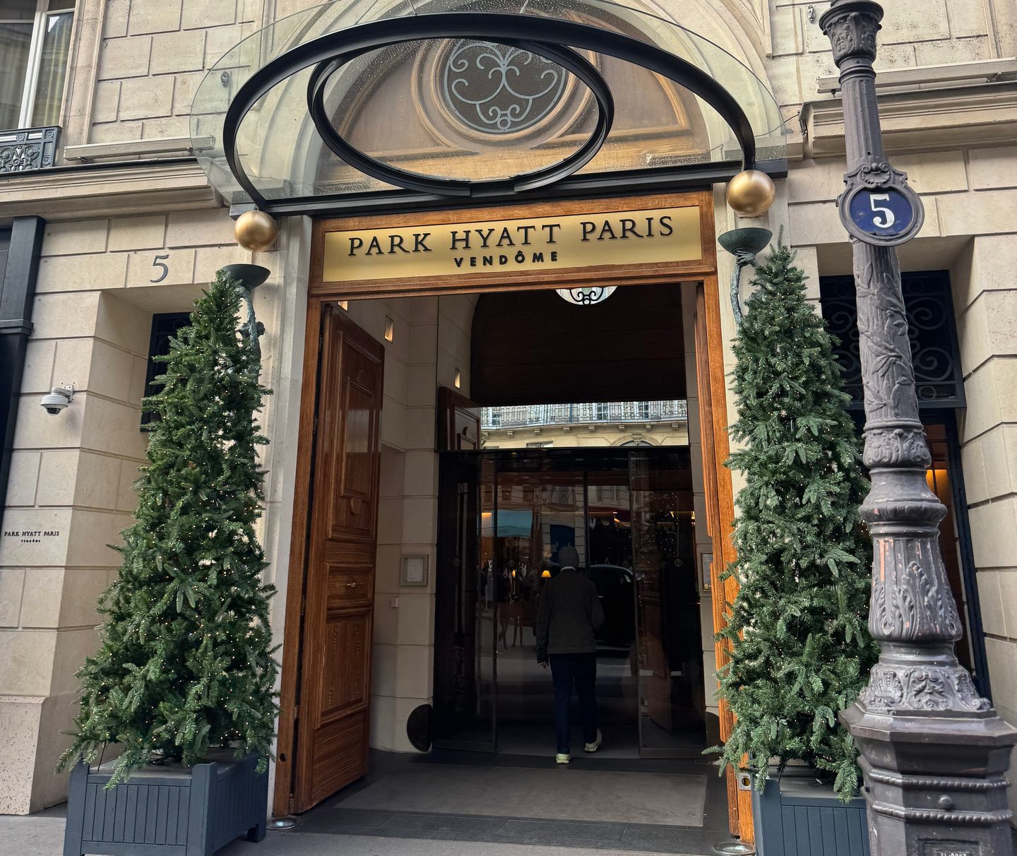 Plant, Potted Plant, Fir