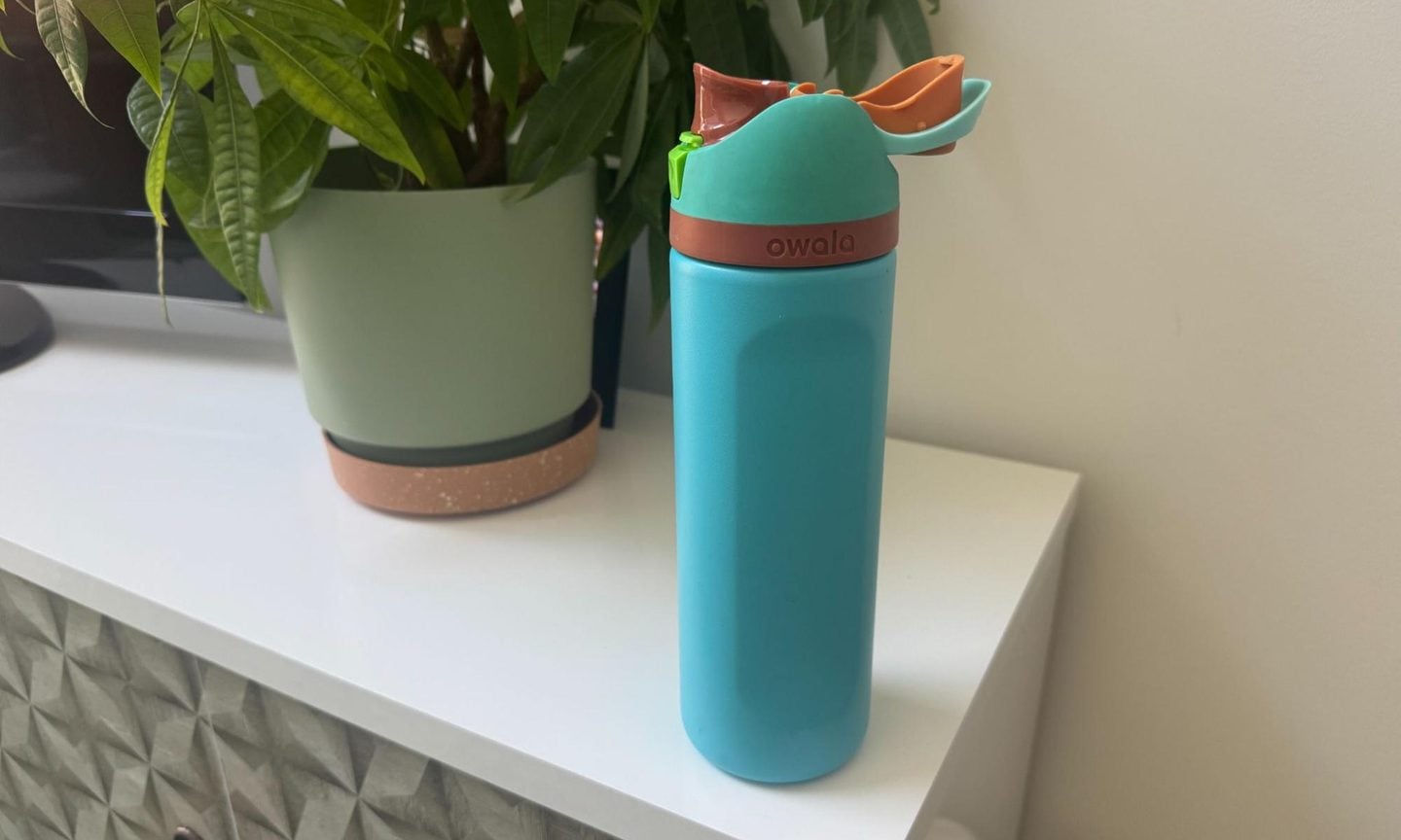 Plant, Bottle, Water Bottle
