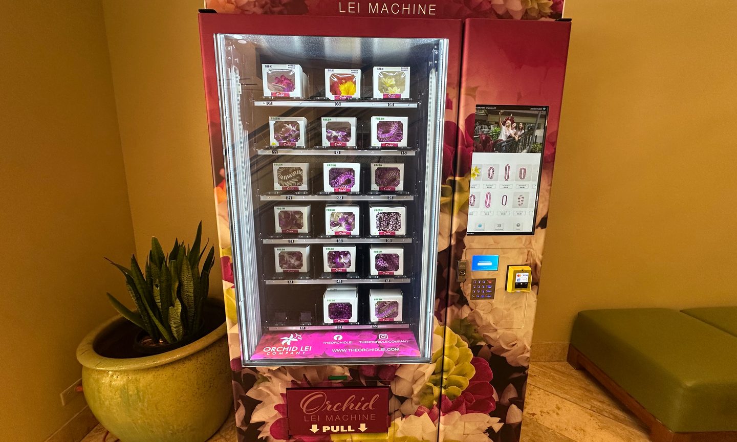 Plant, Machine, Kiosk