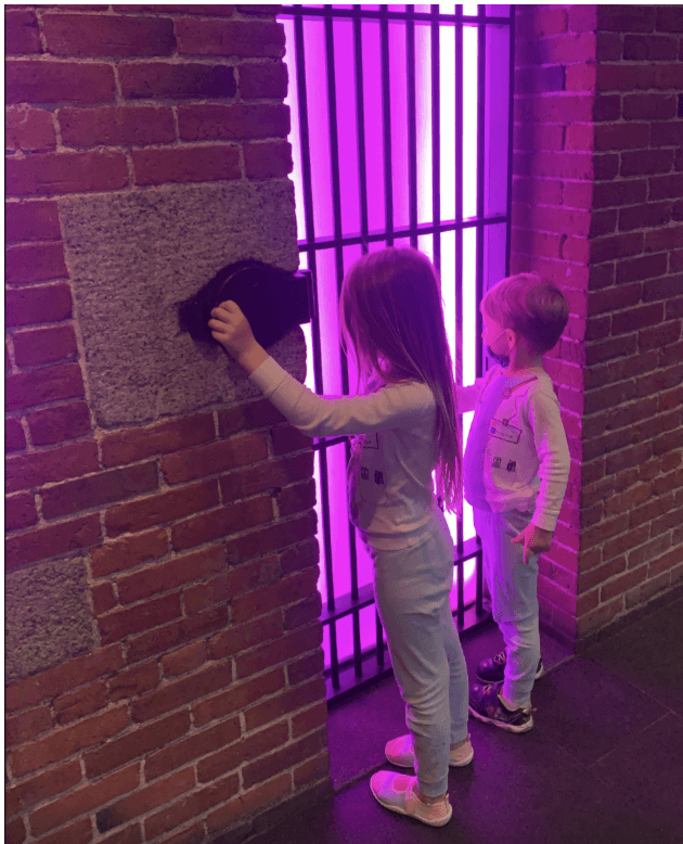 Purple, Brick, Clothing