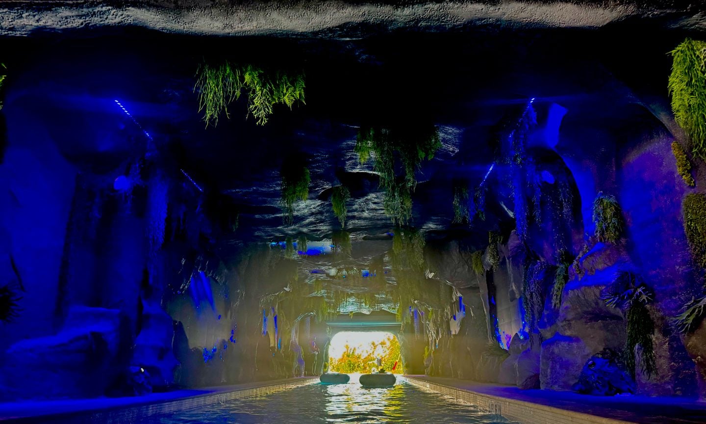 Water, Aquatic, Animal
