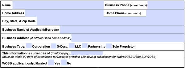 sba form 413, business and personal information fields
