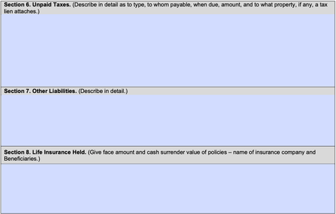 sba form 413, sections 6 through 8