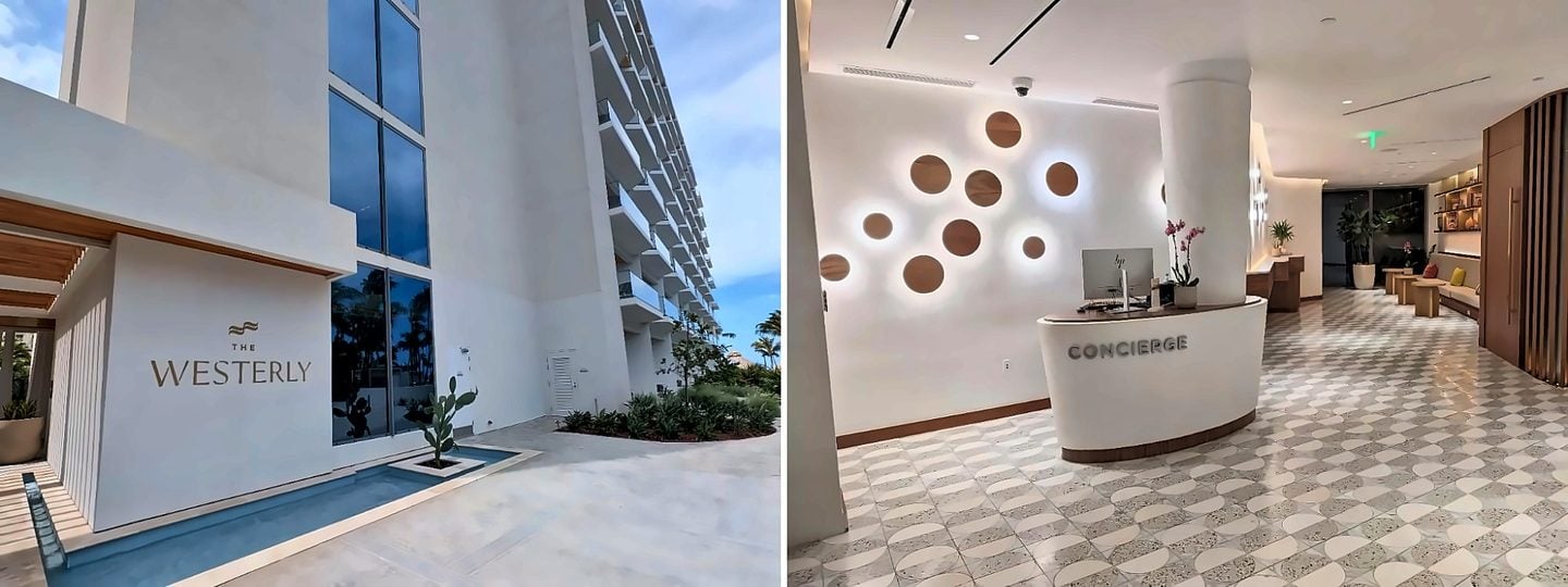 Indoors, Interior Design, Plant
