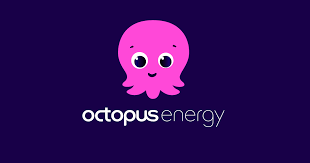 Octopus Business Energy